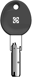 DIR6RP